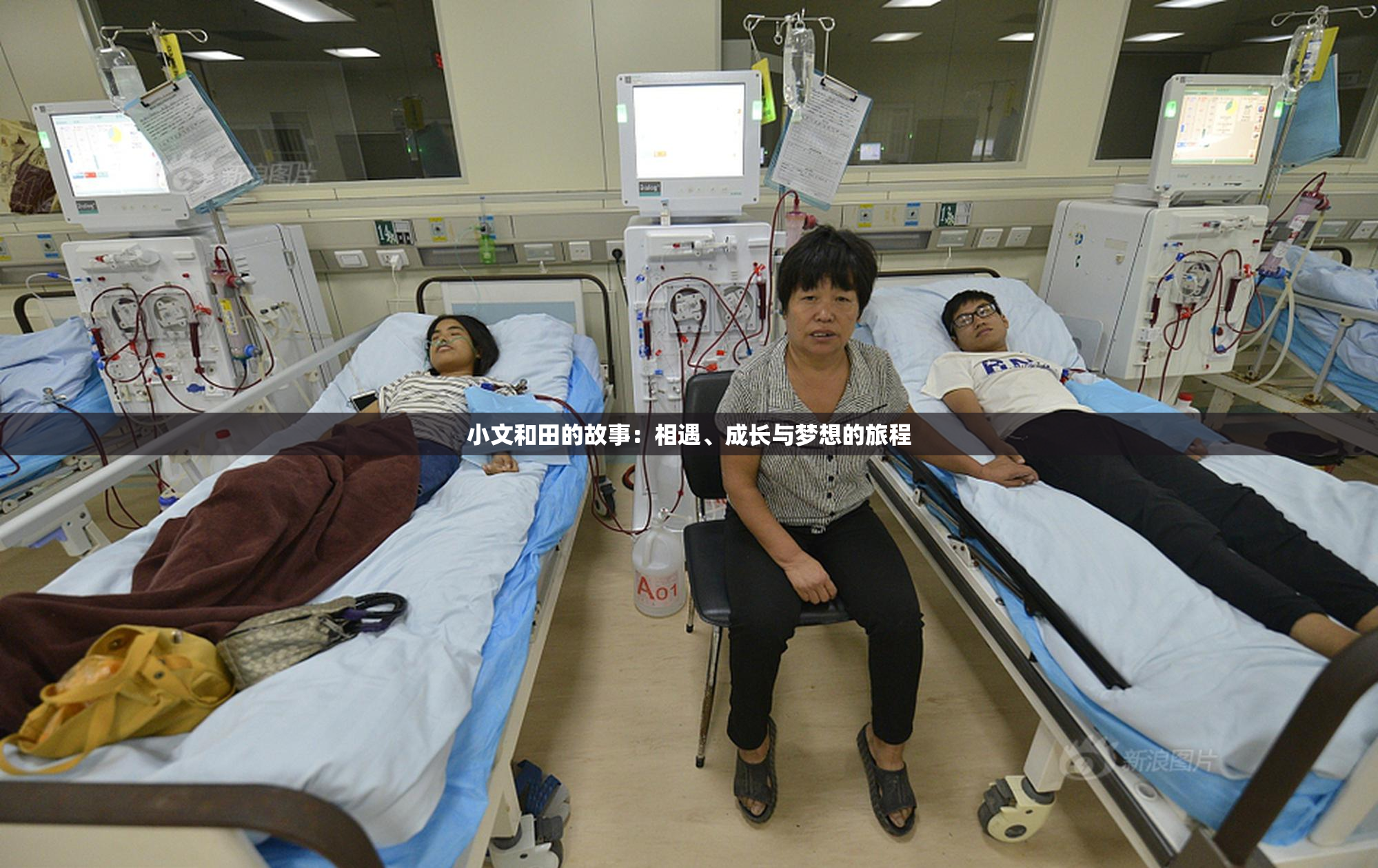 小文和田的故事：相遇、成长与梦想的旅程