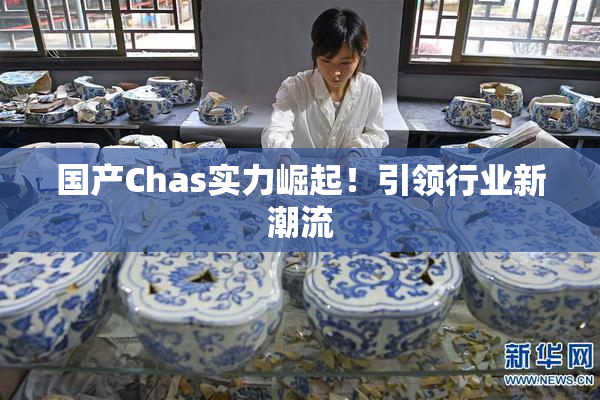 国产Chas实力崛起！引领行业新潮流