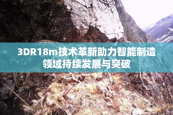 3DR18m技术革新助力智能制造领域持续发展与突破
