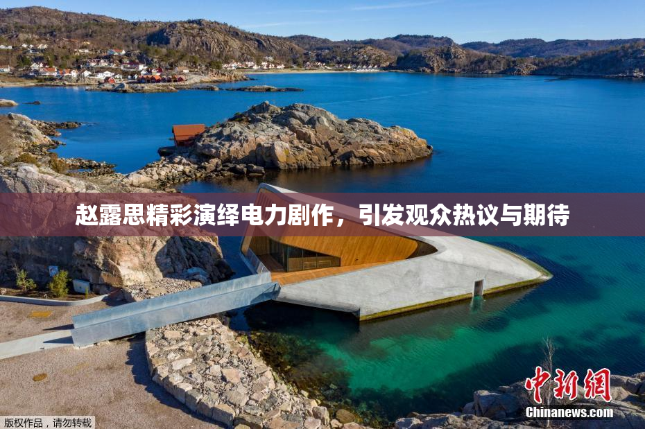 赵露思精彩演绎电力剧作，引发观众热议与期待