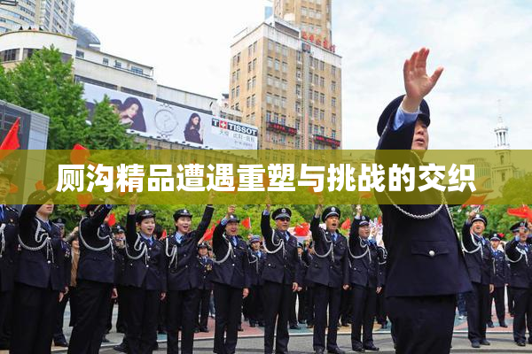 厕沟精品遭遇重塑与挑战的交织
