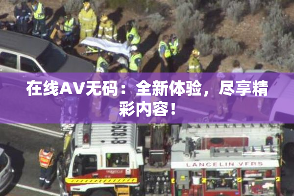 在线AV无码：全新体验，尽享精彩内容！