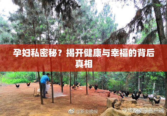 孕妇私密秘？揭开健康与幸福的背后真相