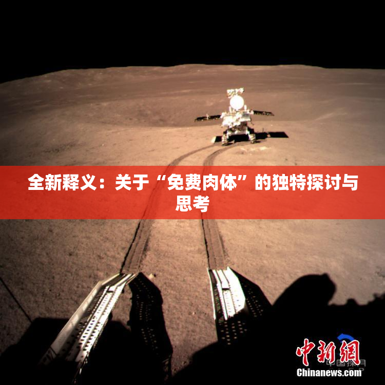 全新释义：关于“免费肉体”的独特探讨与思考