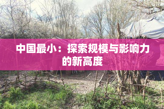 中国最小：探索规模与影响力的新高度