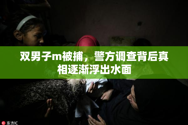 双男子m被捕，警方调查背后真相逐渐浮出水面