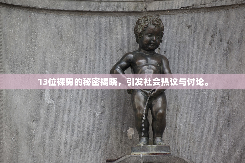 13位裸男的秘密揭晓，引发社会热议与讨论。