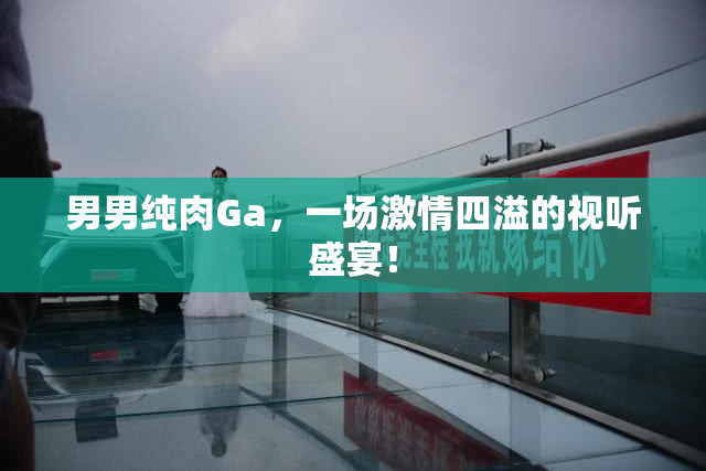 男男纯肉Ga，一场激情四溢的视听盛宴！
