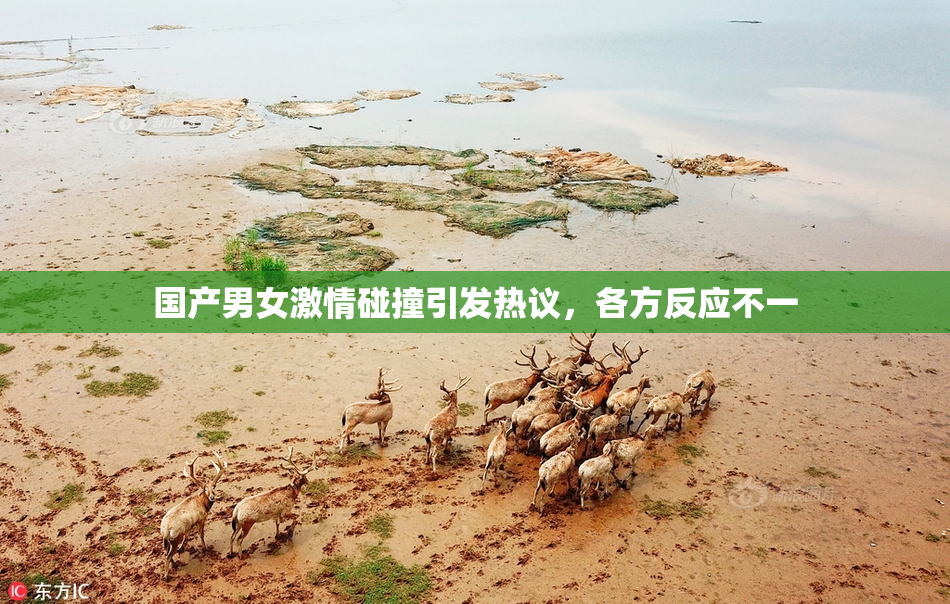 国产男女激情碰撞引发热议，各方反应不一