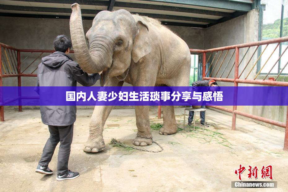 国内人妻少妇生活琐事分享与感悟