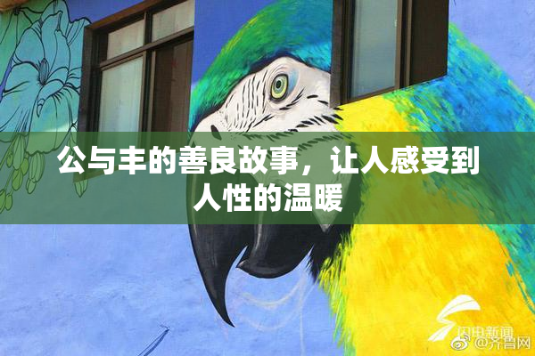 公与丰的善良故事，让人感受到人性的温暖
