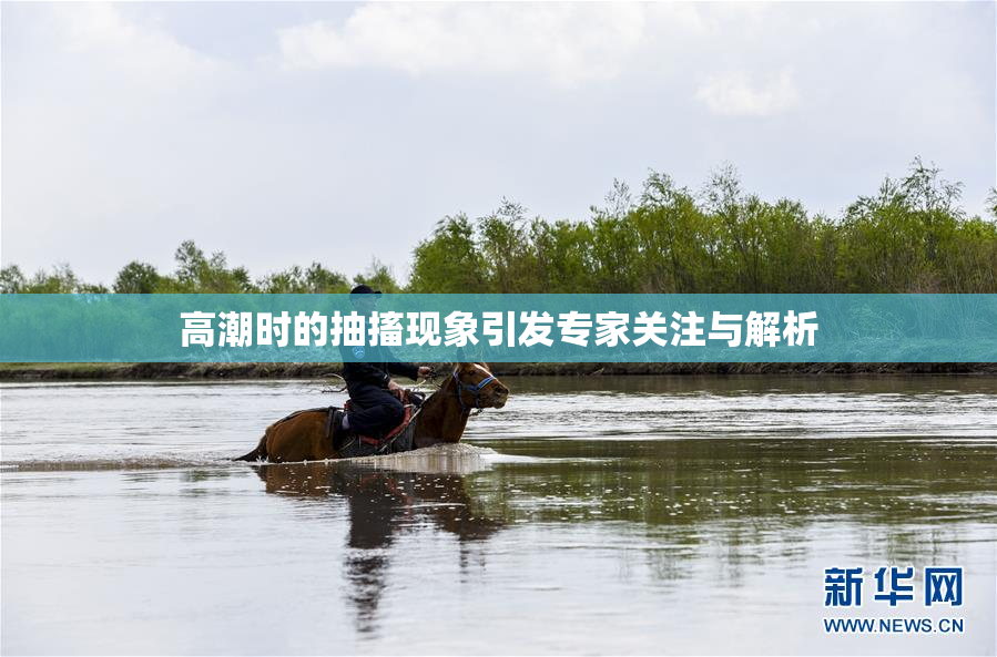 高潮时的抽搐现象引发专家关注与解析