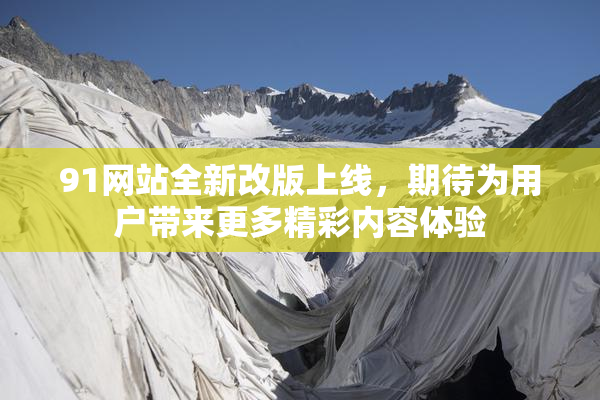 91网站全新改版上线，期待为用户带来更多精彩内容体验