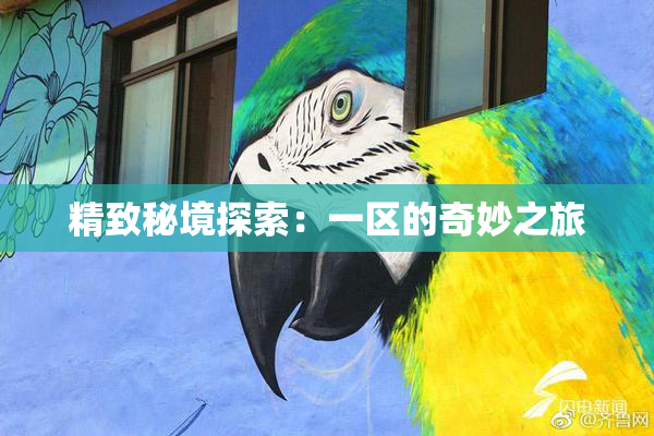 精致秘境探索：一区的奇妙之旅
