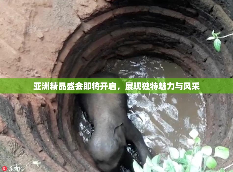 亚洲精品盛会即将开启，展现独特魅力与风采