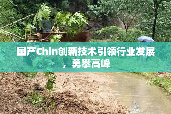 国产Chin创新技术引领行业发展，勇攀高峰