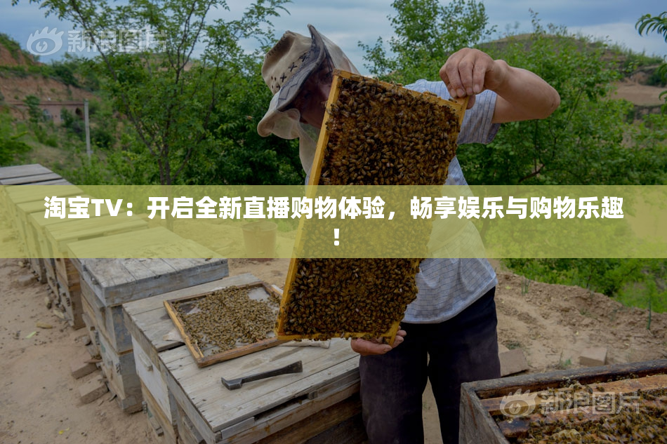 淘宝TV：开启全新直播购物体验，畅享娱乐与购物乐趣！