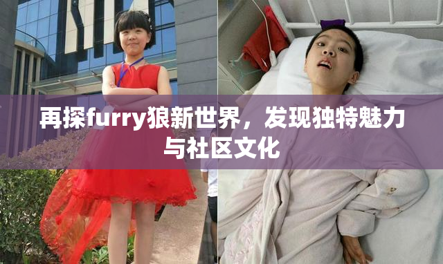 再探furry狼新世界，发现独特魅力与社区文化
