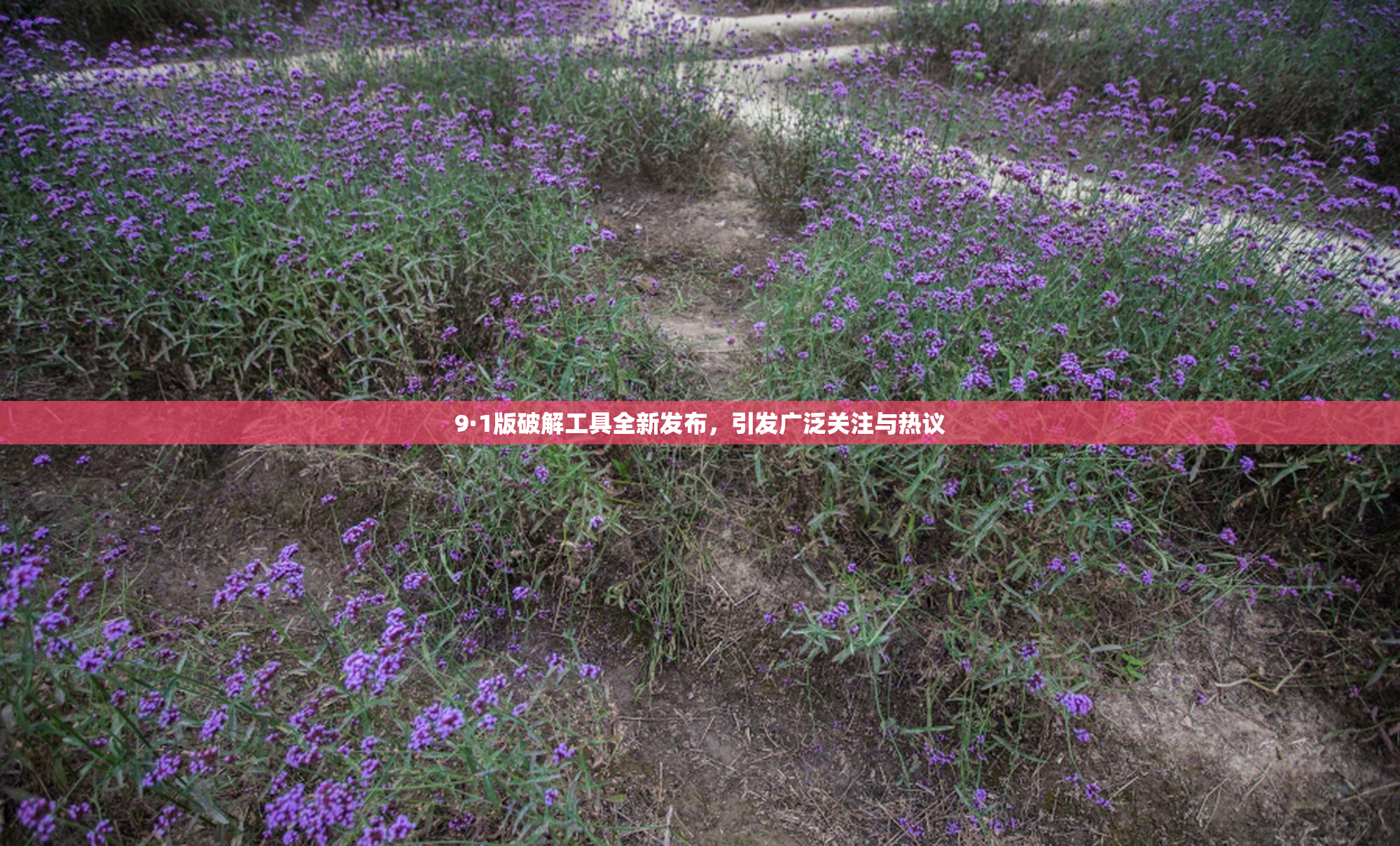 9·1版破解工具全新发布，引发广泛关注与热议