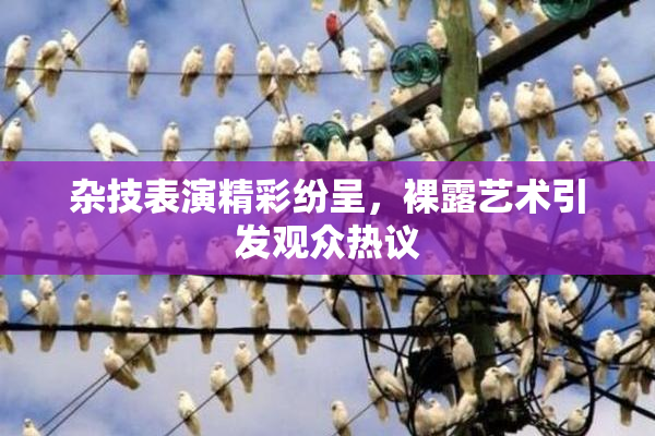 杂技表演精彩纷呈，裸露艺术引发观众热议