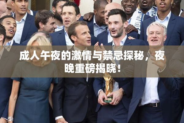 成人午夜的激情与禁忌探秘，夜晚重磅揭晓！