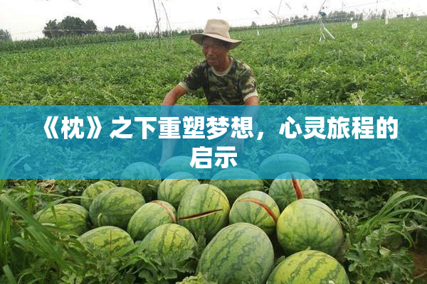 《枕》之下重塑梦想，心灵旅程的启示