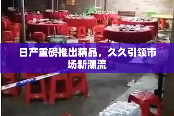 日产重磅推出精品，久久引领市场新潮流