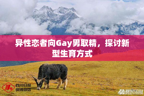 异性恋者向Gay男取精，探讨新型生育方式