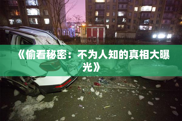 《偷看秘密：不为人知的真相大曝光》