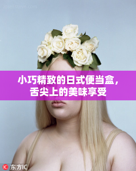 小巧精致的日式便当盒，舌尖上的美味享受