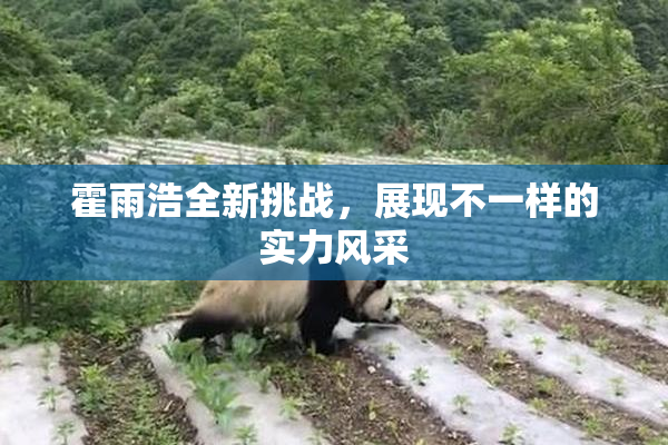 霍雨浩全新挑战，展现不一样的实力风采
