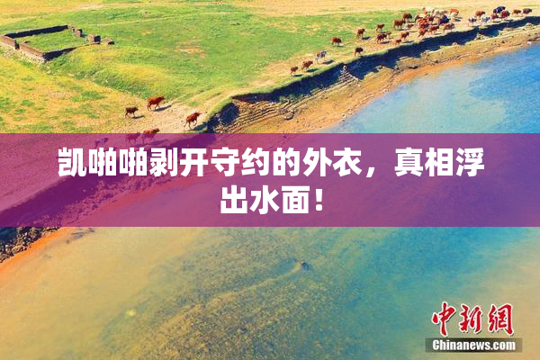 凯啪啪剥开守约的外衣，真相浮出水面！