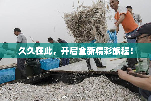 久久在此，开启全新精彩旅程！