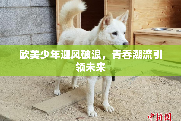 欧美少年迎风破浪，青春潮流引领未来