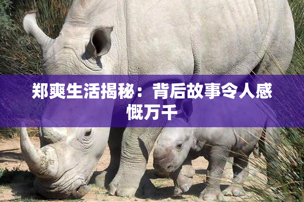 郑爽生活揭秘：背后故事令人感慨万千
