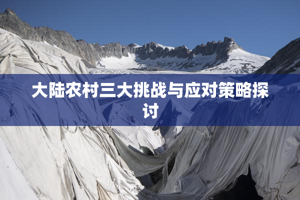 大陆农村三大挑战与应对策略探讨