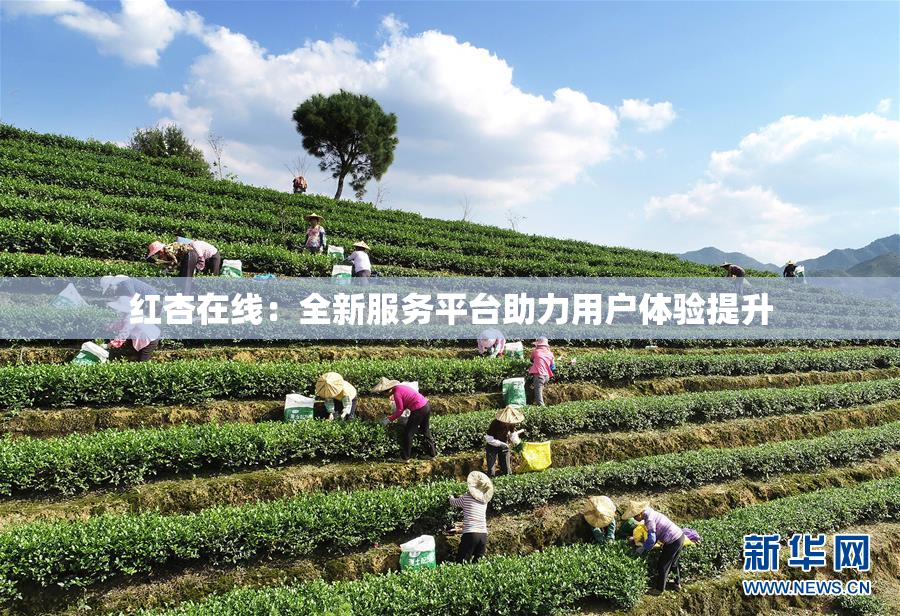 红杏在线：全新服务平台助力用户体验提升