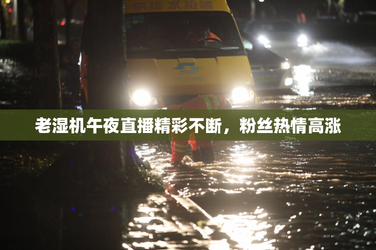 老湿机午夜直播精彩不断，粉丝热情高涨