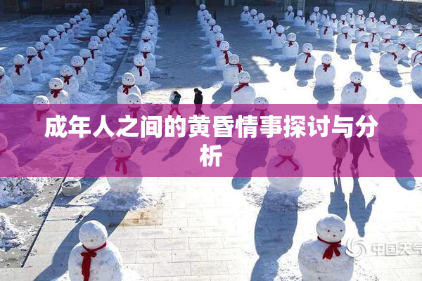 成年人之间的黄昏情事探讨与分析