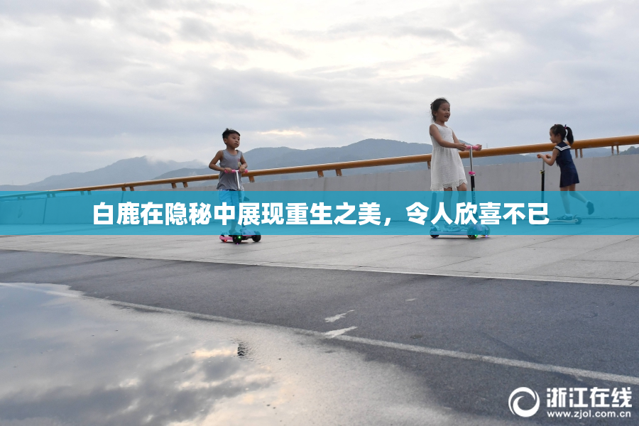 白鹿在隐秘中展现重生之美，令人欣喜不已