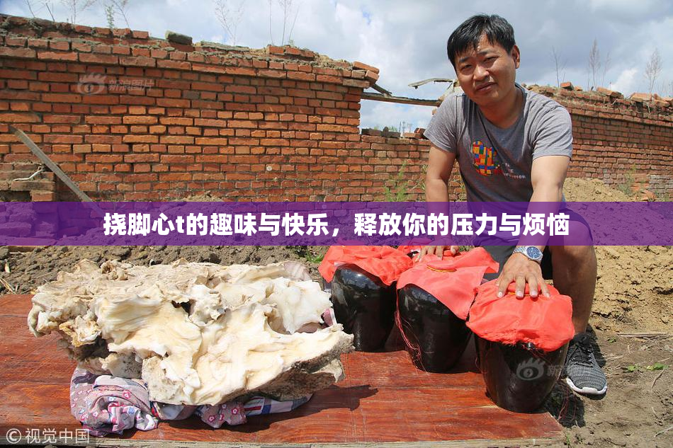 挠脚心t的趣味与快乐，释放你的压力与烦恼