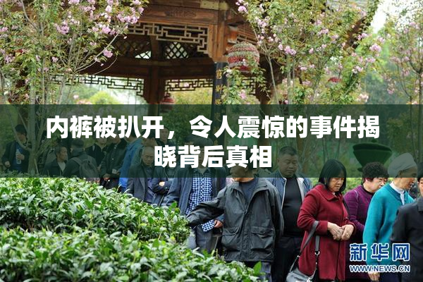 内裤被扒开，令人震惊的事件揭晓背后真相