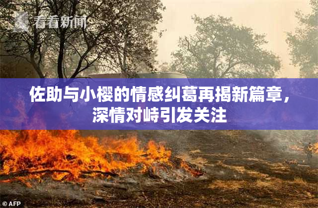 佐助与小樱的情感纠葛再揭新篇章，深情对峙引发关注