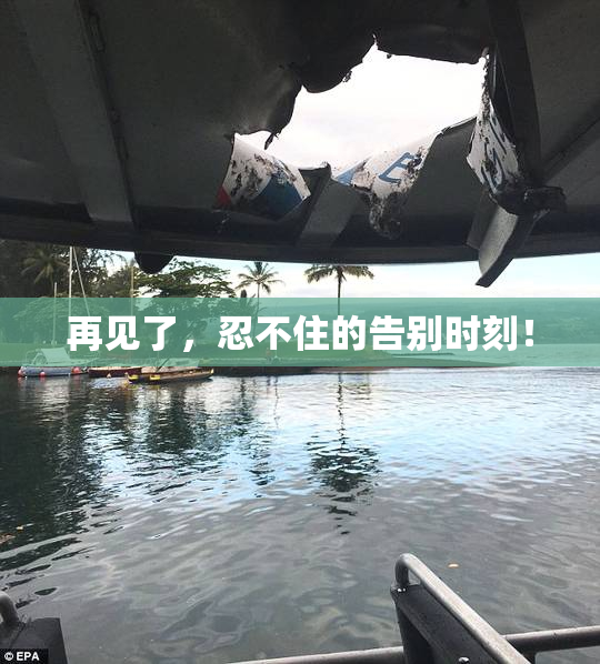 再见了，忍不住的告别时刻！