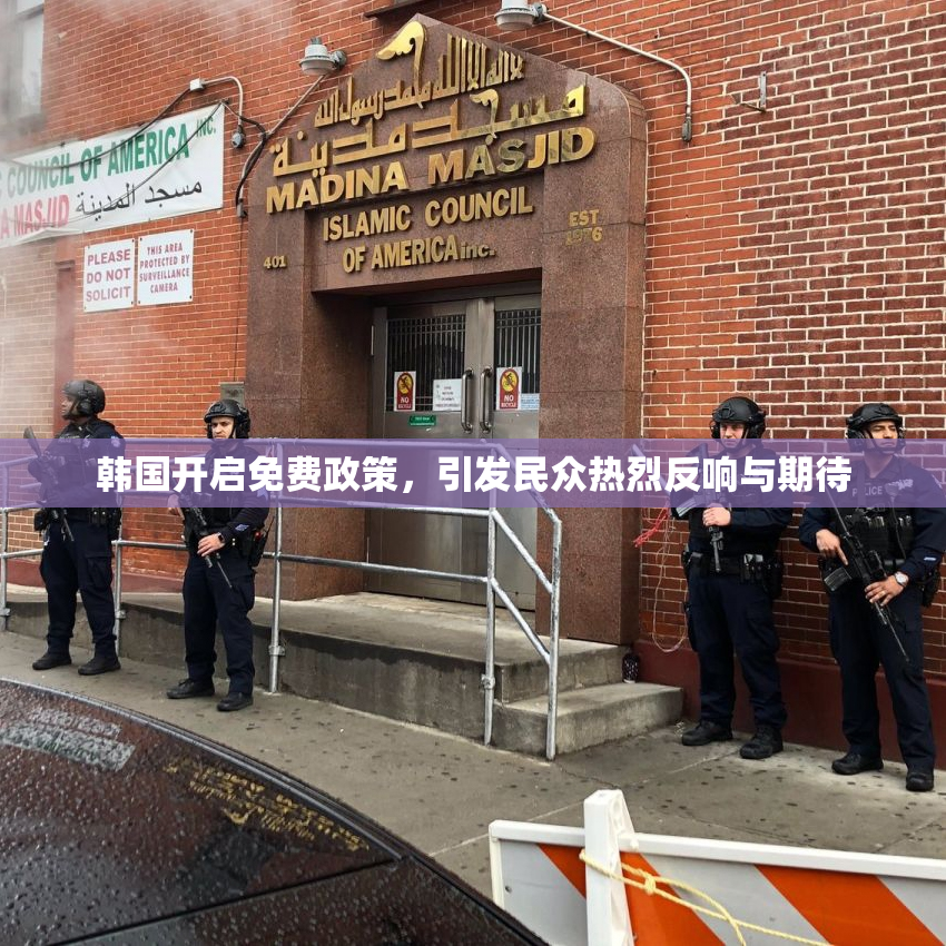 韩国开启免费政策，引发民众热烈反响与期待