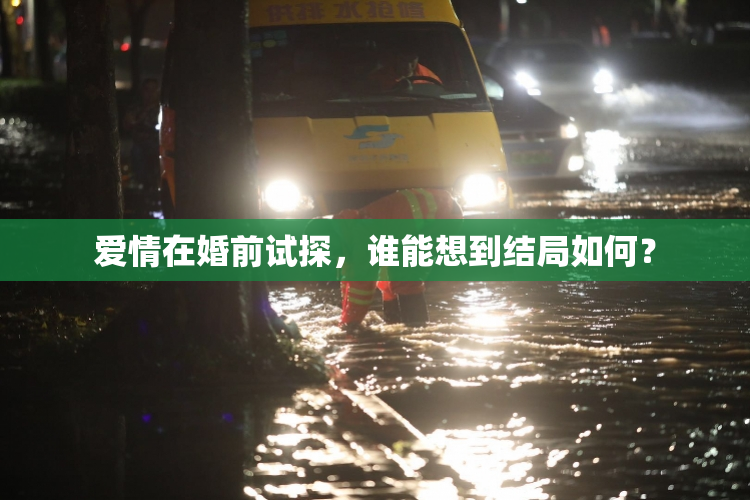 爱情在婚前试探，谁能想到结局如何？