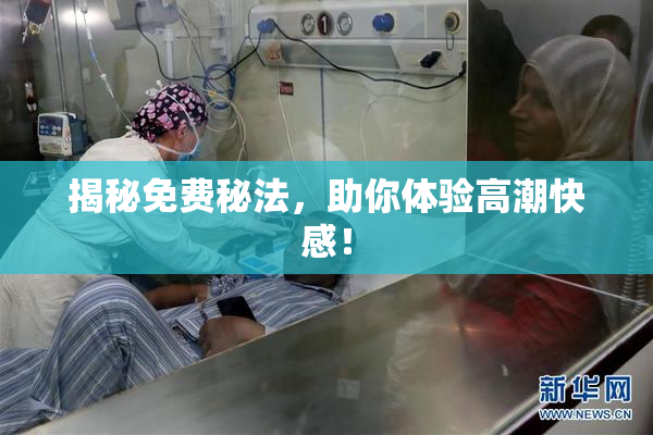 揭秘免费秘法，助你体验高潮快感！