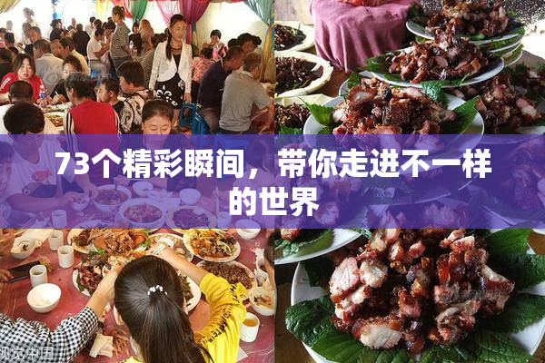 73个精彩瞬间，带你走进不一样的世界