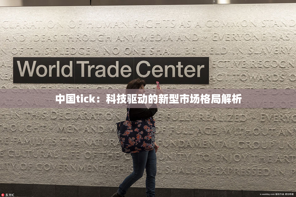 中国tick：科技驱动的新型市场格局解析