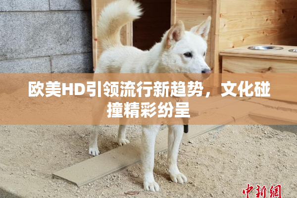 欧美HD引领流行新趋势，文化碰撞精彩纷呈